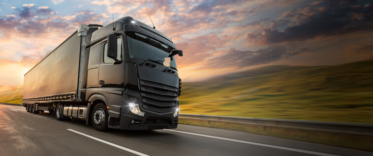 Vehicle weighing in full traffic flow – enables fast and reliable inspection of overloaded vehicles without slowing down traffic, ideal for highways and main roads.